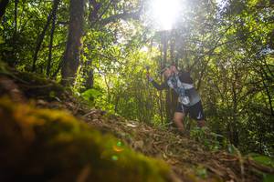 BIB: 
                            <button type="button" onclick="openModal(16007989)" class="btn btn-primary btn-sm float-right btn-popup" data-toggle="modal" data-target=".modal-high-quality">
                        <i class="fas fa-shopping-cart"></i> Add to Cart
                    </button>
                                            <button type="button" onclick="isThisMe(16007989, true)" class="btn btn-success btn-sm float-right btn-popup btn-isme hidden" data-toggle="tooltip" data-placement="bottom" title="นี่คือรูปของคุณใช่ไหม คลิกที่นี่เพื่อเอาเข้าอัลบั้ม">
                        <i class="fas fa-plus"></i> Add to album
                    </button>
                    <button type="button" onclick="isThisMe(16007989, false)" class="btn btn-warning btn-sm float-right btn-popup btn-isnotme hidden">
                        <i class="fas fa-ban"></i> Remove from album
                    </button>